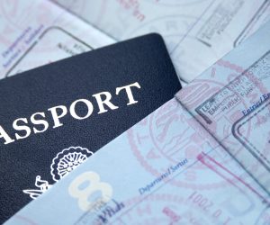 visa-3 visa-3